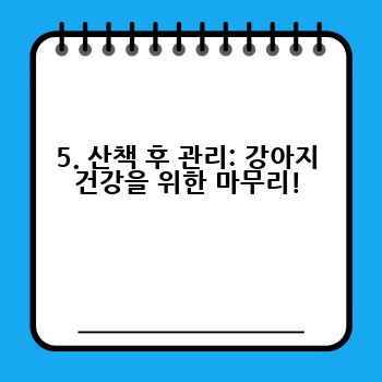 5. 산책 후 관리: 강아지 건강을 위한 마무리!