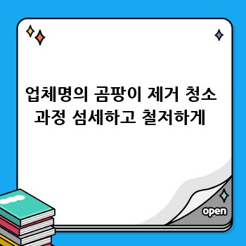 업체명의 곰팡이 제거 청소 과정 섬세하고 철저하게