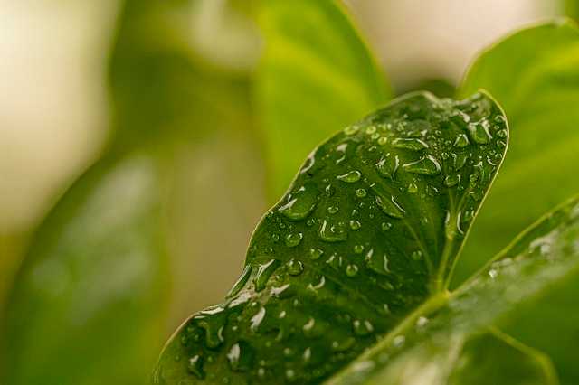 도시 환경 위험: 당신의 도시는 안전한가요?