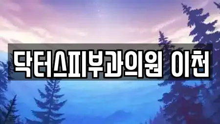 닥터스피부과의원 이천