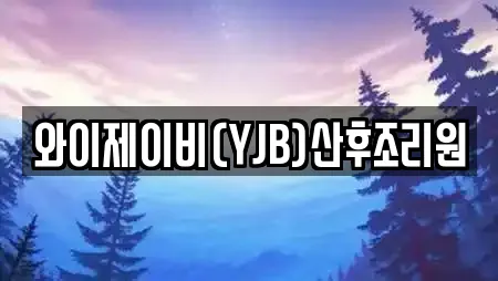 와이제이비(YJB)산후조리원