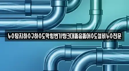 누수탐지하수구하수도막힘변기씽크대뚫음뚫어수도설비누수전문