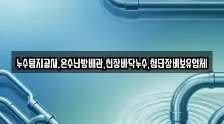 누수탐지공사,온수난방배관,천장바닥누수,첨단장비보유업체