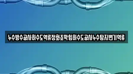 누수방수공사하수도역류정화조막힘하수도공사누수탐지변기역류