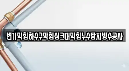 변기막힘하수구막힘싱크대막힘누수탐지방수공사