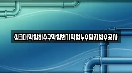 싱크대막힘하수구막힘변기막힘누수탐지방수공사
