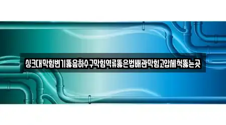 평택 비전동 배관막힘 가까운 4 지도
