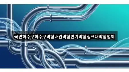 국민하수구하수구막힘배관막힘변기막힘싱크대막힘업체