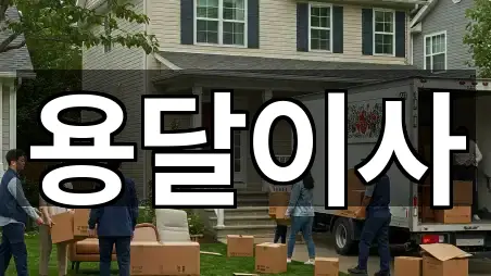 포커스: 검상동용달이사 4곳