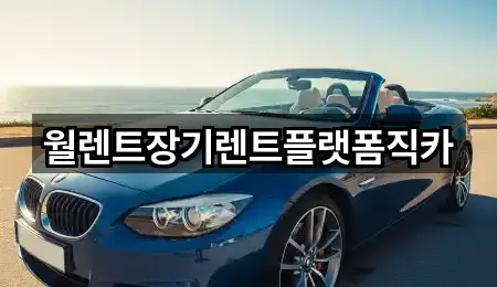 하갈동 장기렌트카 한 번에 보기 3곳