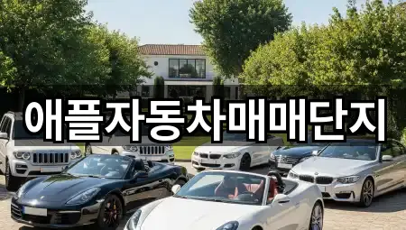 애플자동차매매단지