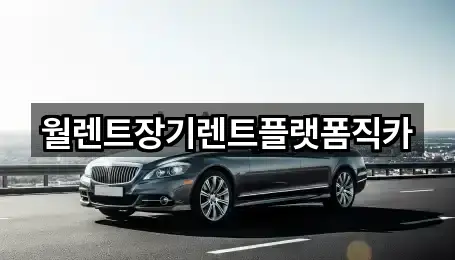 즉시 안내: 안성 일죽면 장기렌트카 1곳