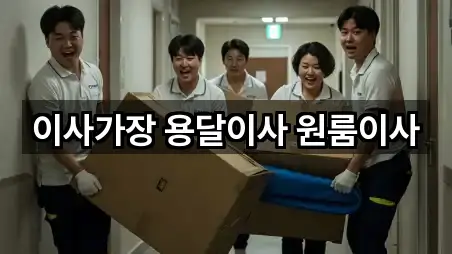 마산합포구 원룸이사 원스톱 보기 5곳