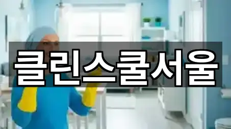 클린스쿨서울