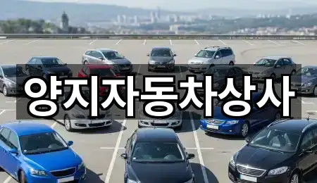 양지자동차상사