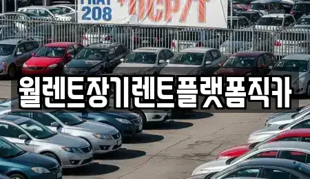 경기 고양시 일산동구 지영동 렌트카 전문 월렌트장기렌트플랫폼직카