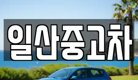 경기 고양시 일산동구 지영동 중고차 전문 일산중고차