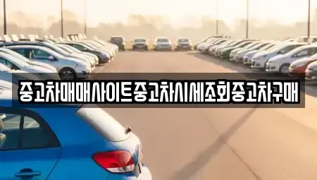 경기 고양시 일산동구 지영동 중고차 전문 중고차매매사이트중고차시세조회중고차구매