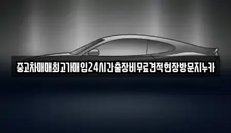 경기 고양시 일산동구 지영동 중고차매입 전문 중고차매매최고가매입24시간출장비무료견적현장방문지누카
