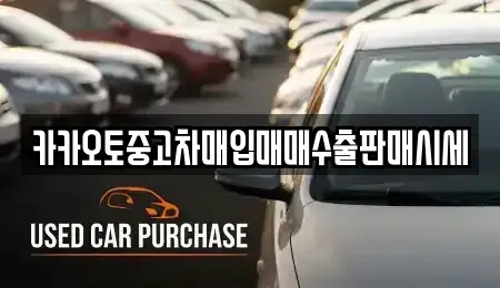 경기 수원시 팔달구 중고차매입 전문 카카오토중고차매입매매수출판매시세