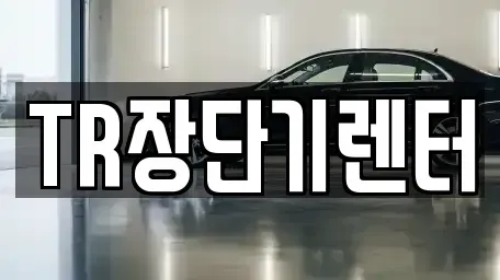 경기도 성남시 수정구 수진동 단기렌트카 전문 TR장단기렌터