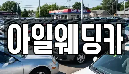 경기도 성남시 수정구 수진동 단기렌트카 전문 아일웨딩카