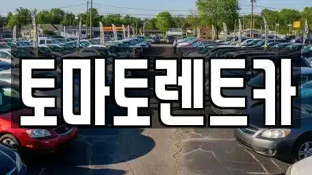 경기도 성남시 수정구 수진동 렌트카 전문 토마토렌트카