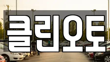 경기도 성남시 수정구 수진동 중고차 전문 클린오토