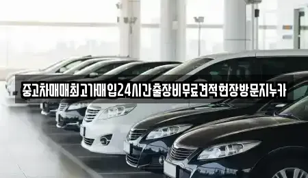 경기도 시흥시 미산동 중고차 전문 중고차매매최고가매입24시간출장비무료견적현장방문지누카