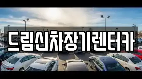 경기도 의정부시 고산동 렌트카 전문 드림신차장기렌터카