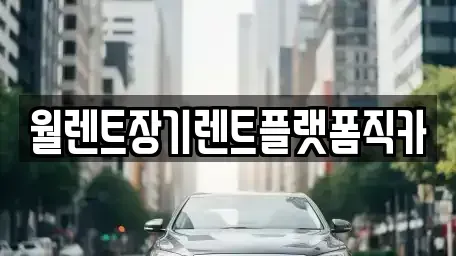 경기도 의정부시 고산동 장기렌트카 전문 월렌트장기렌트플랫폼직카