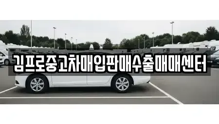 경기도 의정부시 고산동 중고차매매 전문 김프로중고차매입판매수출매매센터