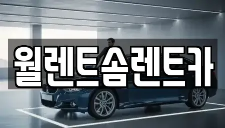 경기도 화성시 진안동 렌트카 전문 월렌트솜렌트카