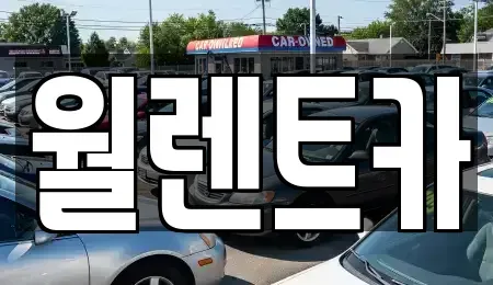 경기도 화성시 진안동 렌트카 전문 월렌트카