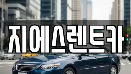 경기도 화성시 진안동 장기렌트카 전문 지에스렌트카