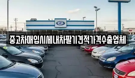 경기도 화성시 진안동 중고차매매 전문 중고차매입시세내차팔기견적가격수출업체