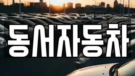 경남 양산시 삼호동 중고차 전문 동서자동차
