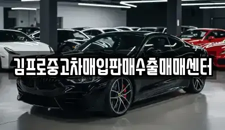 경남 창원시 진해구 대천동 중고차 전문 김프로중고차매입판매수출매매센터