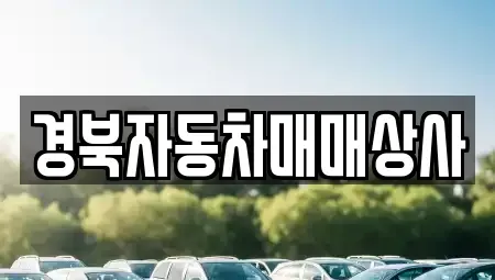 경북 김천시 감천면 장기렌트카,중고차,렌트카,단기렌트카,중고차매입,중고차매매