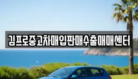 경상북도 김천시 성내동 중고차매입 전문 김프로중고차매입판매수출매매센터