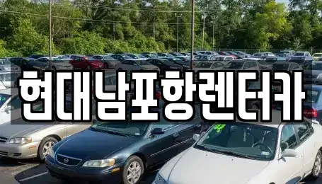 경상북도 포항시 남구 장흥동 렌트카 전문 현대남포항렌터카