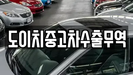 경상북도 포항시 남구 장흥동 중고차 전문 도이치중고차수출무역
