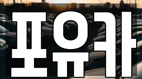 경상북도 포항시 남구 장흥동 중고차 전문 포유카