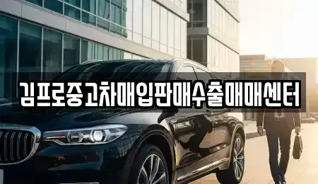 경상북도 포항시 남구 장흥동 중고차매입 전문 김프로중고차매입판매수출매매센터