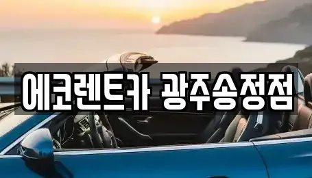 광주광역시 광산구 도산동 렌트카 전문 에코렌트카 광주송정점