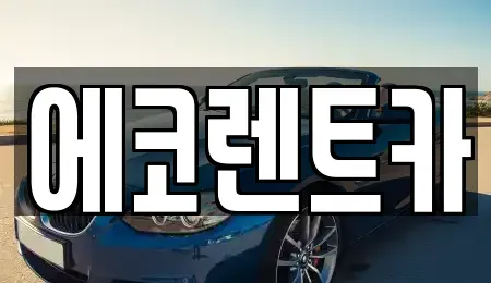 광주광역시 광산구 도산동 렌트카 전문 에코렌트카