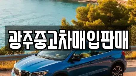 광주광역시 광산구 도산동 중고차 전문 광주중고차매입판매
