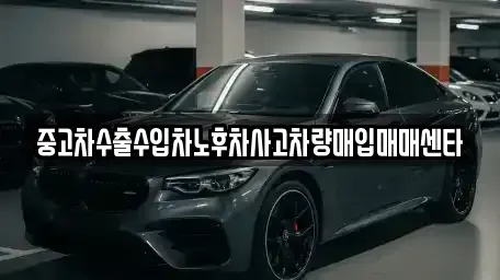 광주광역시 광산구 도산동 중고차 전문 중고차수출수입차노후차사고차량매입매매센타