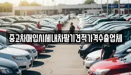 대구 군위군 군위읍 중고차 전문 중고차매입시세내차팔기견적가격수출업체