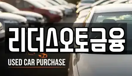 대구 중구 동산동 장기렌트카 전문 리더스오토금융